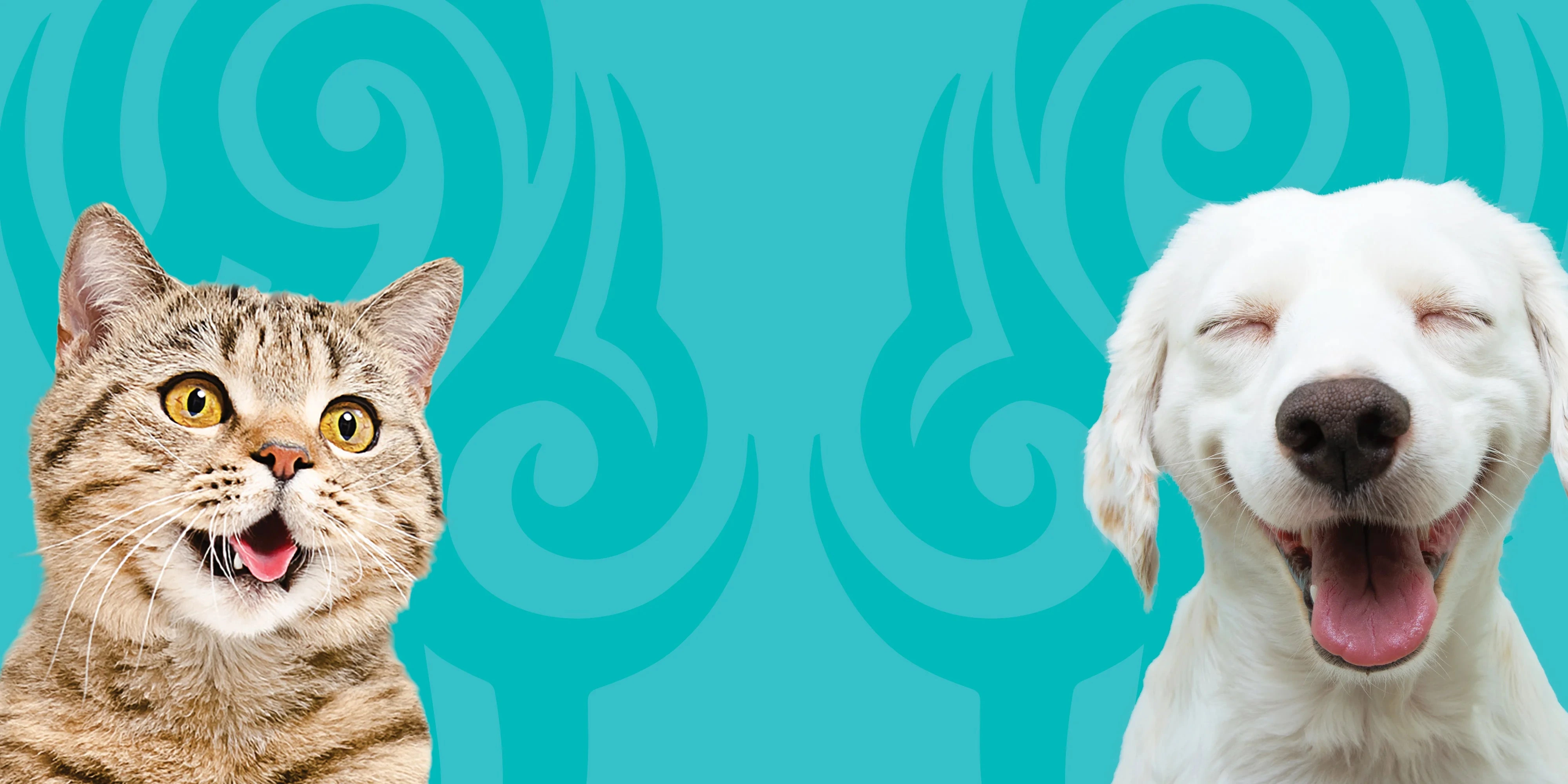 Pure Nutrition, Happy Pets